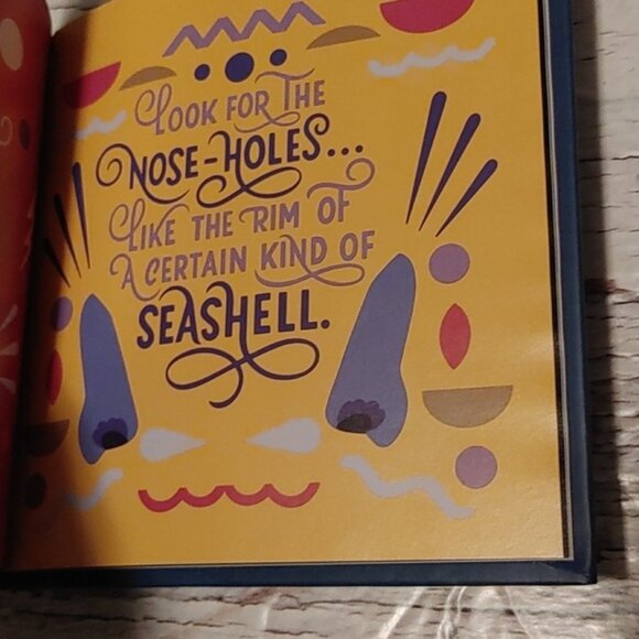 's The Witches: How to Spot a Witch - Illustrated Children's Book - Picture 3 of 4